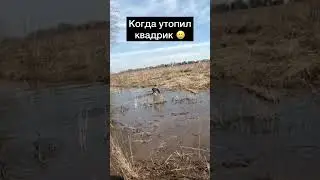 Главное за пару часов успеть реанимировать 🔥💪