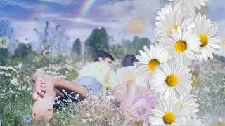 Футаж🌼 Ромашки для Наташки 🌼  Background Summer Daisies