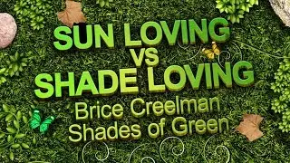 Sustainable Landscaping: Sun vs Shade