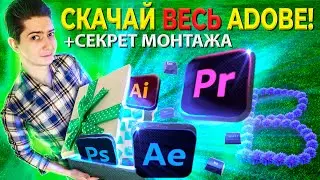 Как включить ADOBE Dynamic Link | Мои секреты монтажа и ПОДАРОЧЕК | BITLEX