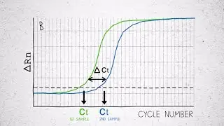 Understanding Reverse Transcriptase – Effects on Ct value