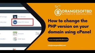 Learn How to Change the Php Version on Your Domain Using Cpanel With Orange Soft BD