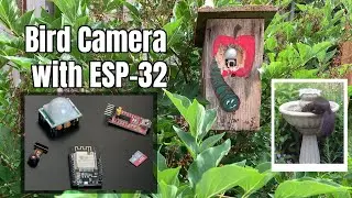 Bird Camera with ESP-32