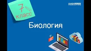 Биология. 7 класс. Дефицит макроэлементов (азот, калий, фосфор) у растений