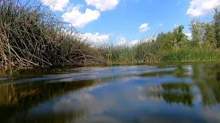 Что делает рыба под водой в жару. Места стоянок. Пескарь не пропал