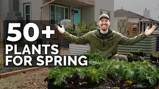 50+ Plants I'm Growing In My Spring Garden 🌱 🌷 🥕