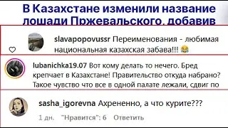 Казах ответил русским за нападки почему переименовали лошадь Пржевальского в Керкулан