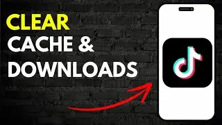 How to Clear all Cache and Downloads on Tiktok App in 2024 (Updated)