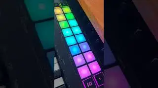 Novation Launchkey Pads changing Colour