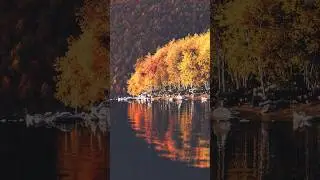 Fall By The Wayside 