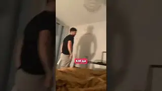 Их кошка хочет привлечь к себе все внимание 🐱😅