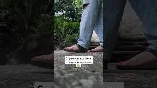 А вы как справляетесь со страхами? 🔥 #страхи #историяизжизни #мотивация