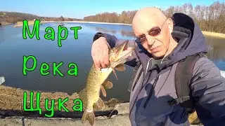 Трудовая рыбалка с берега. Ловля ЩУКИ up-stream.