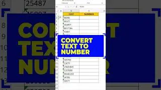 convert text into number format in excel in bangla 💯 