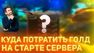 ЧТО ПОКУПАТЬ ЗА ГОЛД НА СТАРТЕ НОВОГО СЕРВЕРА ДИОНА/ КУДА ЛУЧШЕ ТРАТИТЬ ГОЛД? РУОФФ ПВ / PW 2022
