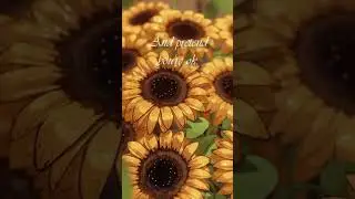 my sunflower model and animation in blender