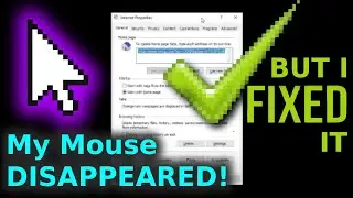 How To Fix Mouse Pointer Disappeared On Windows PC Laptop