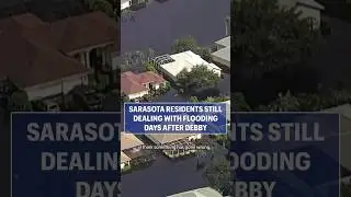 Sarasota residents deal with flooding after Debby #abcactionnews #florida #news #weather