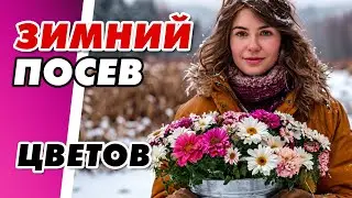 ЗИМНИЙ ПОСЕВ: эти ЦВЕТЫ превратят весну в сказку! #цветыбезрассады #неприхотливыецветы #цветы