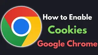 How to Enable Cookies on Google Chrome | How to Enable Cookies on Google Chrome Windows 11