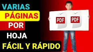 poner varias páginas en una hoja em documentos PDF