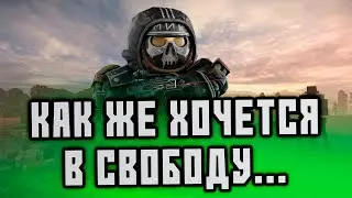 ТРИ КЛОУНА СНОВА В СБОРЕ • stalcraft stream