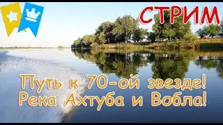 Река Ахтуба! Трофы прут из всех щелей! Путь к 70ой звезде, охота на воблу! Русская рыбалка 4