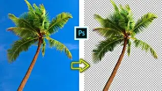 How To Remove a Difficult Background in Photoshop short photoshop tutorial #shorts