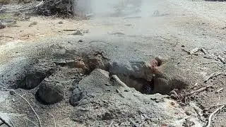 Yellowstone Geiser