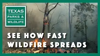 See How Fast Wildfire Spreads