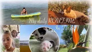 My day with cats in Turkey) Мой день с кошками в Турции) 我在土耳其與貓的日子）