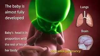 29 Weeks Pregnant: What is Happening in 29th Week of Pregnancy?