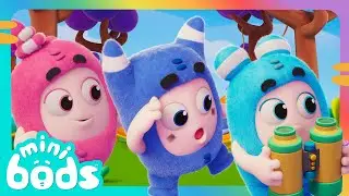 You Won't Believe What They've Seen! 🏕️🥾 | Minibods | Preschool Cartoons for Toddlers