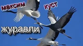 ОЧЕНЬ ДУШЕВНАЯ ПЕСНЯ! Послушайте!