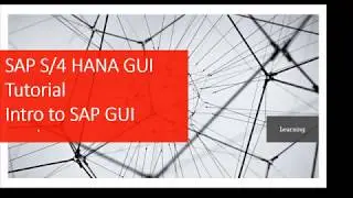 SAP S4 HANA GUI Tutorial