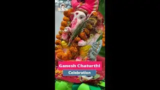 Ganesh Chaturthi Celebration #ganeshchaturthi #ganeshutsav #ganeshchaturthi2024