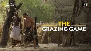 The Grazing Game | Primal Survivor | Full Episode | S1-E4 | National Geographic