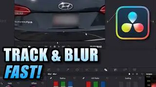 Track and Blur objects in Davinci Resolve's Color tab!