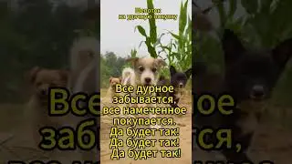 Волшебный шепоток для удачной покупки от таролога Екатерины Черниковой