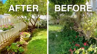 Overgrown Small Garden Makeover | BEFORE and AFTER