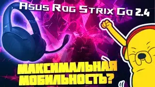 Обзор / Мнение о Asus Rog Strix Go