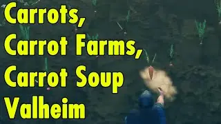Carrots, Carrot Farms and Carrot Soup in Valheim