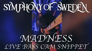 SYMPHONY OF SWEDEN - MADNESS (LIVE BASS CAM SNIPPET)