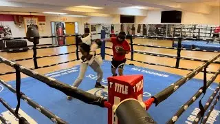 Sparring with Pro Boxer/MMA Fighter