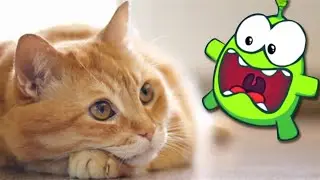 Om Nom Stories: Om Nom and Kitten | Funny Cartoons For Babies