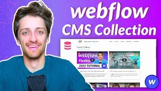 How To Set Up CMS Collection In Webflow (Full Tutorial)