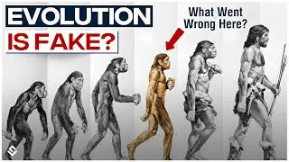 Everything We Know About Evolution Is Wrong? Human Evolution Timeline