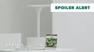 Short Stories LED Indoor Planter | FabFitFun Spring Box Spoiler Alert