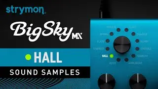 Strymon BigSky MX | Sound Samples | Hall Reverbs