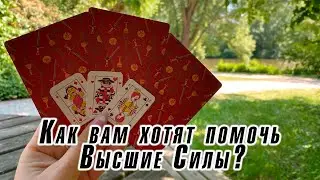 Как вам хотят помочь Высшие Силы? Гадание на таро Карина Захарова